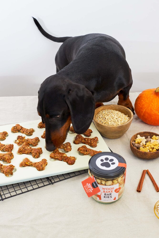 Biscoitos para cachorro “Woof Bites” com amendoim e abóbora