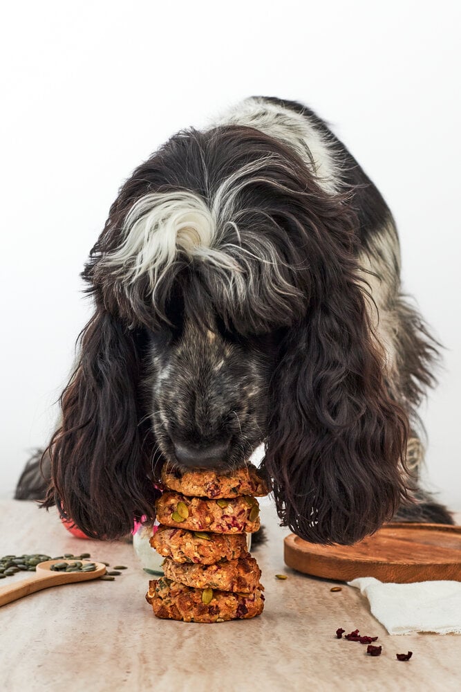 Donuts para Perros “Barky Beetroot” con Remolacha y Manzana