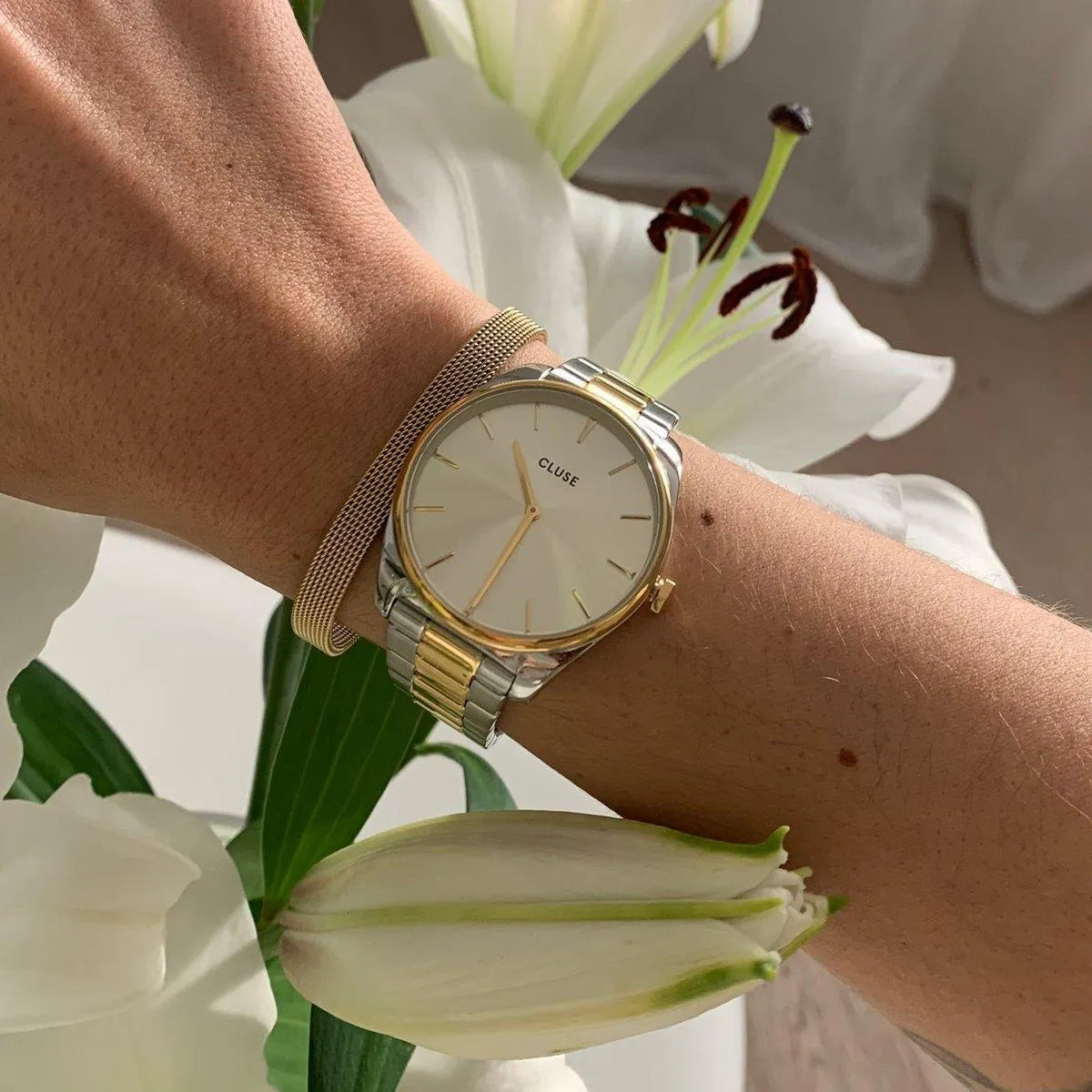 Cluse Féroce Bicolor - Cobalto Accesorios , Joyería Valencia