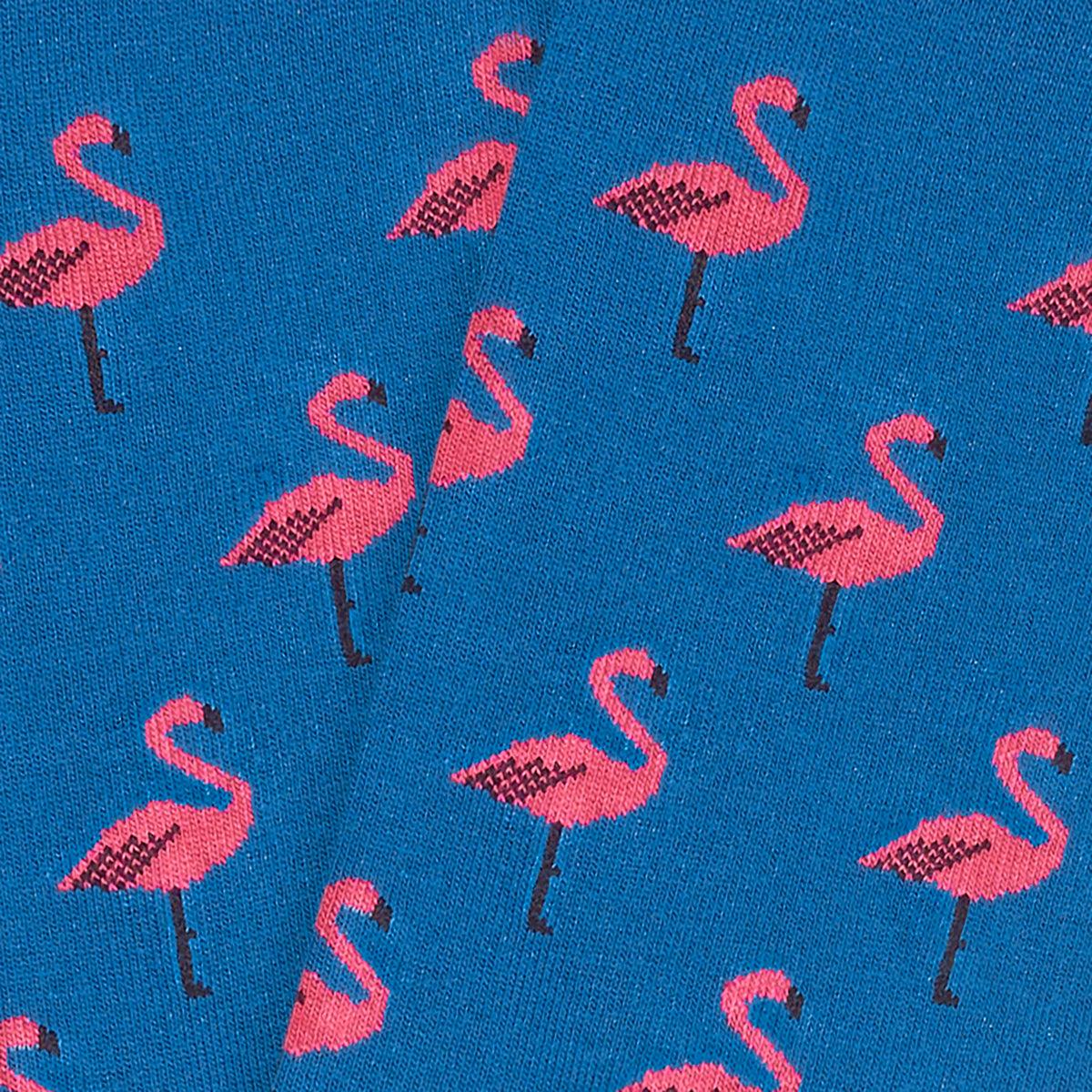 Jimmy Lion Flamingo Blue - Cobalto Accesorios
